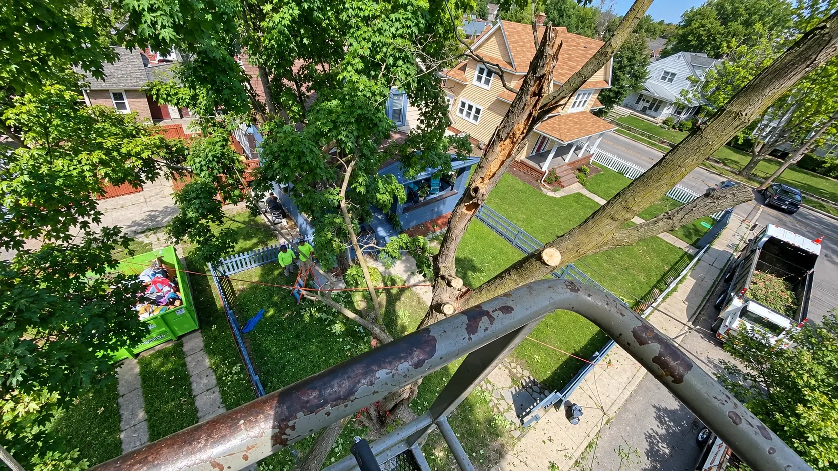 Certified tree removal service in Pendleton IN — ROKA Outdoor